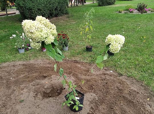 GR III Kolejne zadanie w ramach projektu "Ożywić pola"