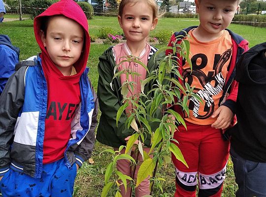 GR III Kolejne zadanie w ramach projektu "Ożywić pola"