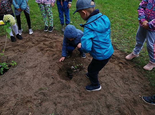 GR IV Kolejne zadanie w ramach projektu "Ożywić pola"
