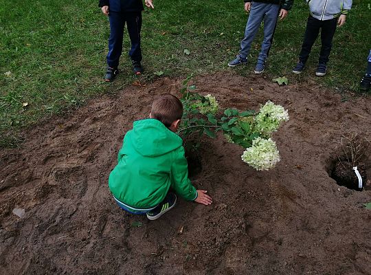 GR IV Kolejne zadanie w ramach projektu "Ożywić pola"