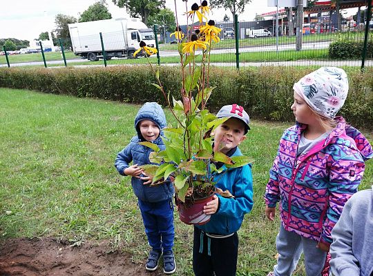 GR IV Kolejne zadanie w ramach projektu "Ożywić pola"