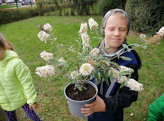 GR IV Kolejne zadanie w ramach projektu "Ożywić pola"