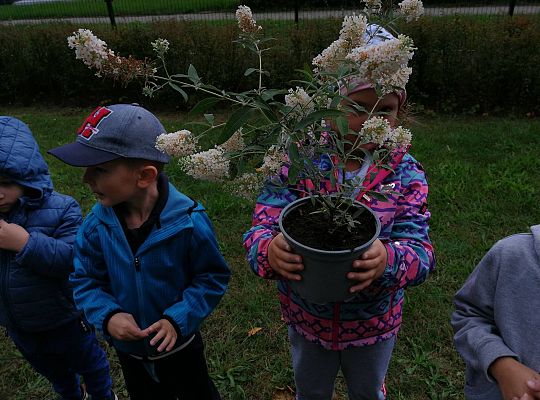 GR IV Kolejne zadanie w ramach projektu "Ożywić pola"