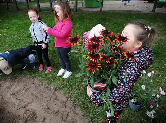 GR IV Kolejne zadanie w ramach projektu "Ożywić pola"