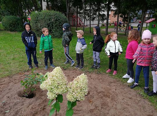 GR IV Kolejne zadanie w ramach projektu "Ożywić pola"