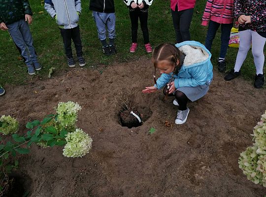 GR IV Kolejne zadanie w ramach projektu "Ożywić pola"