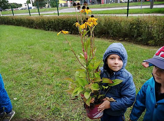 GR IV Kolejne zadanie w ramach projektu "Ożywić pola"