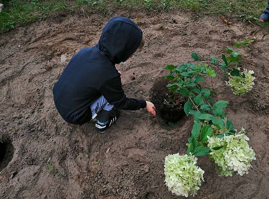 GR IV Kolejne zadanie w ramach projektu "Ożywić pola"