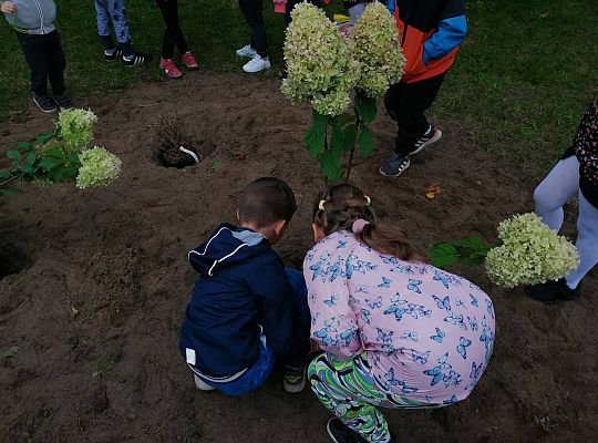 GR IV Kolejne zadanie w ramach projektu "Ożywić pola"