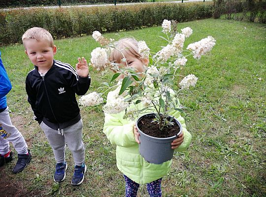 GR IV Kolejne zadanie w ramach projektu "Ożywić pola"