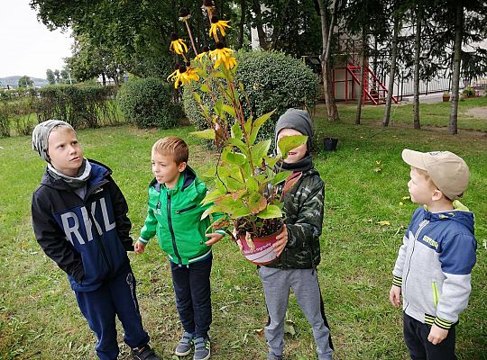 GR IV Kolejne zadanie w ramach projektu "Ożywić pola"