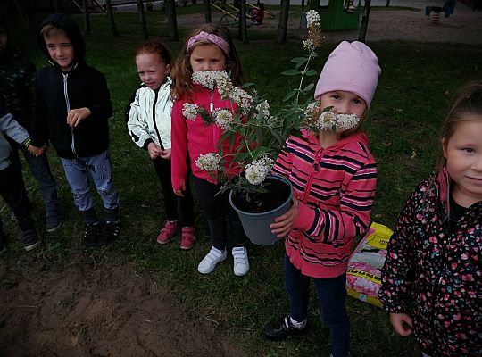 GR IV Kolejne zadanie w ramach projektu "Ożywić pola"