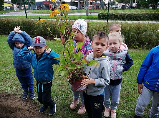 GR IV Kolejne zadanie w ramach projektu "Ożywić pola"