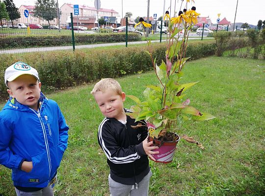 GR IV Kolejne zadanie w ramach projektu "Ożywić pola"