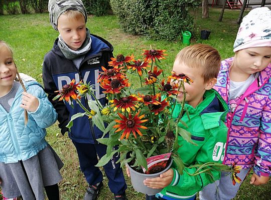 GR IV Kolejne zadanie w ramach projektu "Ożywić pola"