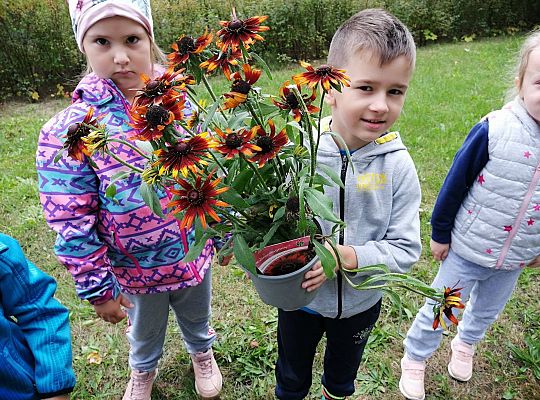 GR IV Kolejne zadanie w ramach projektu "Ożywić pola"