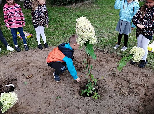 GR IV Kolejne zadanie w ramach projektu "Ożywić pola"