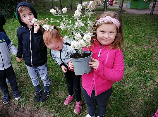 GR IV Kolejne zadanie w ramach projektu "Ożywić pola"
