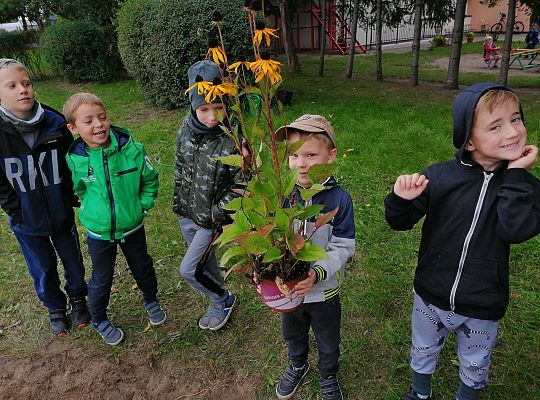 GR IV Kolejne zadanie w ramach projektu "Ożywić pola"