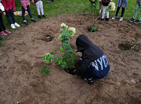GR IV Kolejne zadanie w ramach projektu "Ożywić pola"