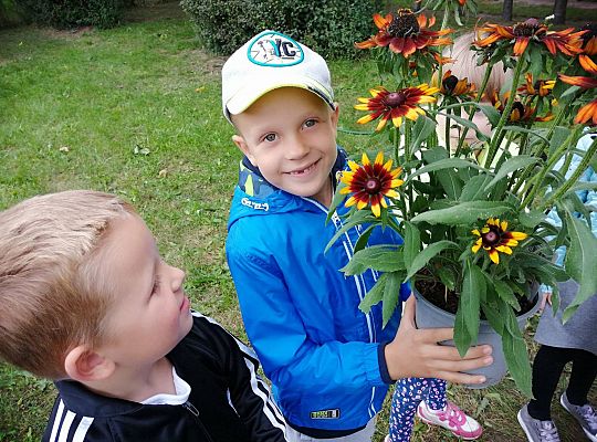 GR IV Kolejne zadanie w ramach projektu "Ożywić pola"