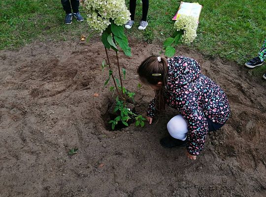 GR IV Kolejne zadanie w ramach projektu "Ożywić pola"