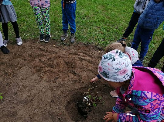 GR IV Kolejne zadanie w ramach projektu "Ożywić pola"