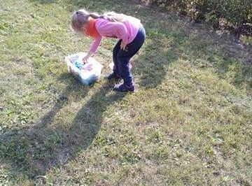 gr II Dzień Przedszkolaka- "Baw się zdrowo, na sportowo"