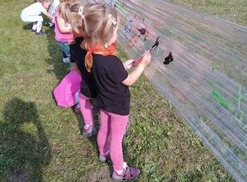 gr II Dzień Przedszkolaka- "Baw się zdrowo, na sportowo"