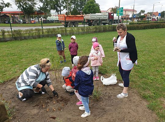 Gr I Sadzenie cebulek kwiatów