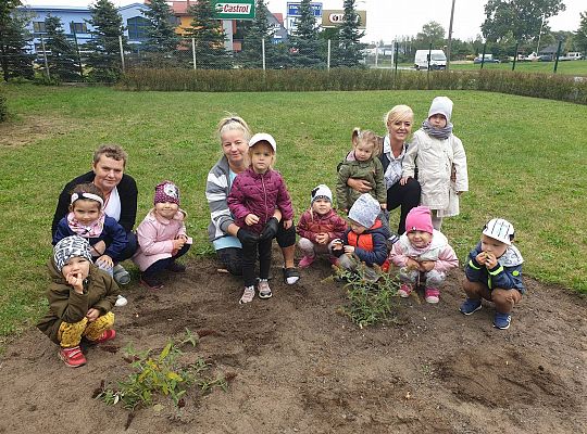 Gr I Sadzenie cebulek kwiatów w ramach projektu "ożywić pola"