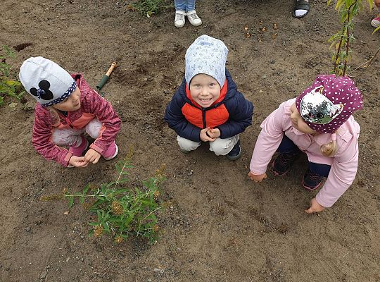 Gr I Sadzenie cebulek kwiatów w ramach projektu "ożywić pola"