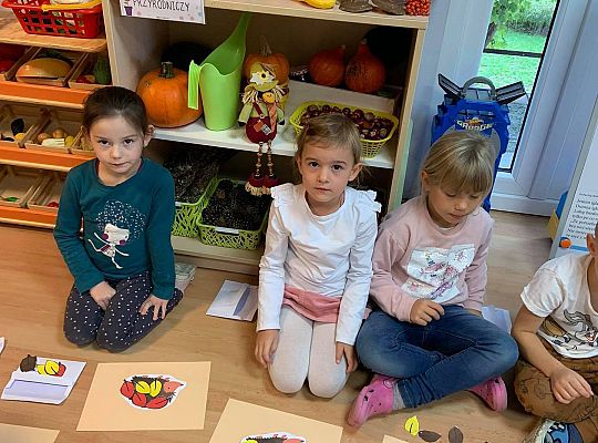 GR III Posłanie dla jeża - zabawy matematyczne