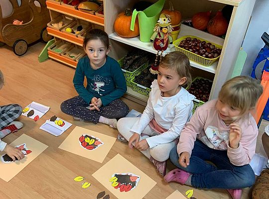 GR III Posłanie dla jeża - zabawy matematyczne