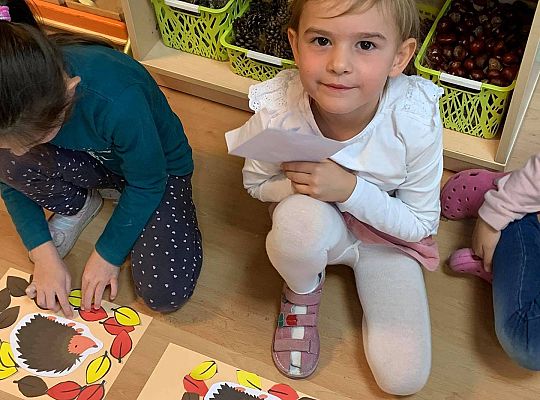 GR III Posłanie dla jeża - zabawy matematyczne