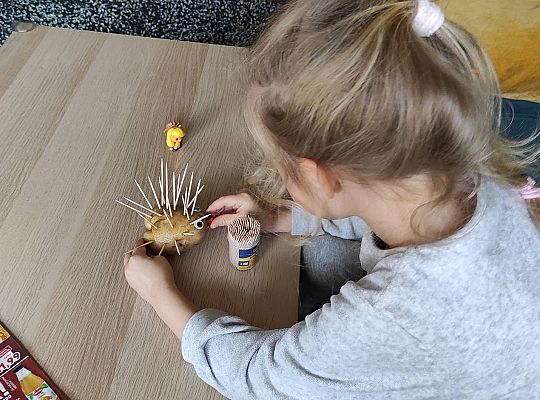 Gr II Czy wy może o tym wiecie ,że jeż kolce ma na grzbiecie?