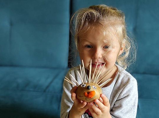 Gr II Czy wy może o tym wiecie ,że jeż kolce ma na grzbiecie?