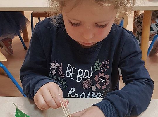 Gr II Czy wy może o tym wiecie ,że jeż kolce ma na grzbiecie?