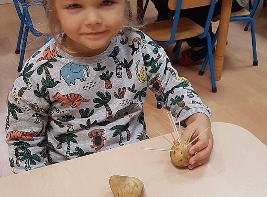 Gr II Czy wy może o tym wiecie ,że jeż kolce ma na grzbiecie?