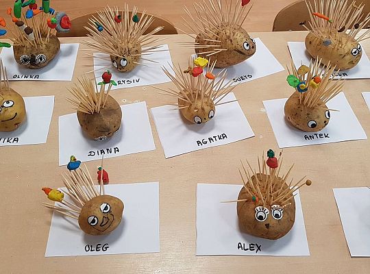 Gr II Czy wy może o tym wiecie ,że jeż kolce ma na grzbiecie?