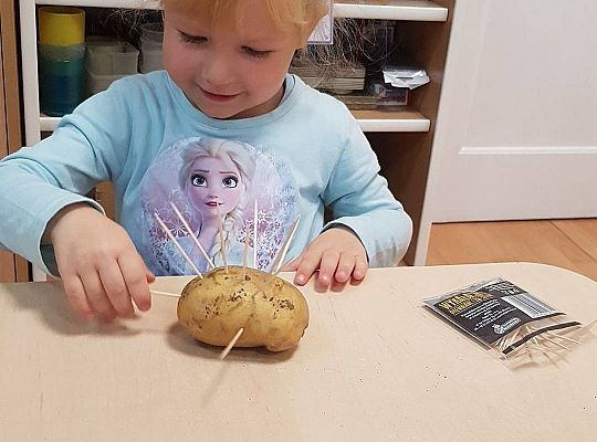 Gr II Czy wy może o tym wiecie ,że jeż kolce ma na grzbiecie?