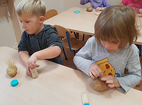 Gr II Czy wy może o tym wiecie ,że jeż kolce ma na grzbiecie?