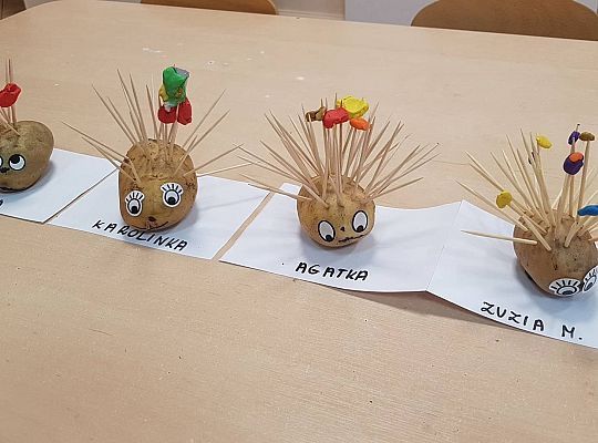 Gr II Czy wy może o tym wiecie ,że jeż kolce ma na grzbiecie?