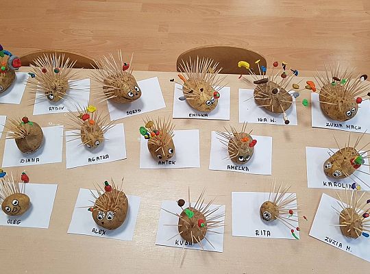 Gr II Czy wy może o tym wiecie ,że jeż kolce ma na grzbiecie?