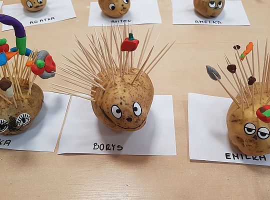 Gr II Czy wy może o tym wiecie ,że jeż kolce ma na grzbiecie?