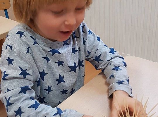 Gr II Czy wy może o tym wiecie ,że jeż kolce ma na grzbiecie?