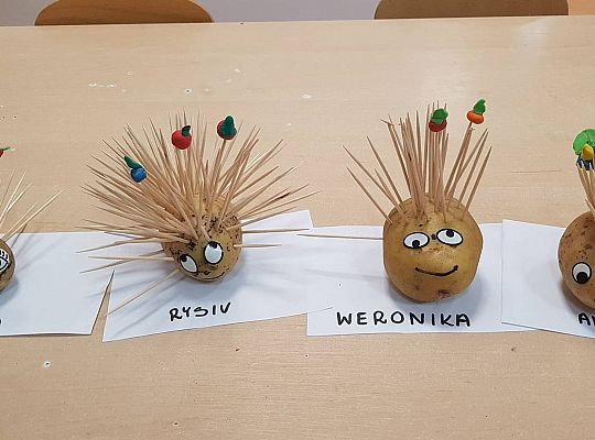 Gr II Czy wy może o tym wiecie ,że jeż kolce ma na grzbiecie?