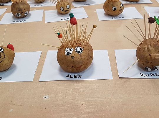 Gr II Czy wy może o tym wiecie ,że jeż kolce ma na grzbiecie?