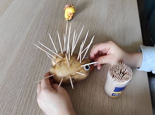 Gr II Czy wy może o tym wiecie ,że jeż kolce ma na grzbiecie?