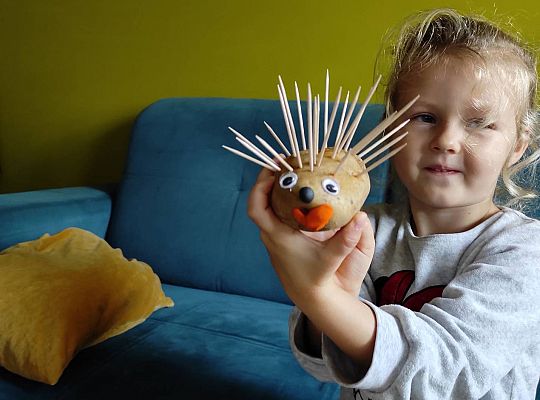 Gr II Czy wy może o tym wiecie ,że jeż kolce ma na grzbiecie?